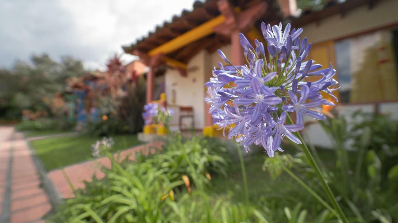 Termales El Otono Otel La Enea Dış mekan fotoğraf Agapanthus africanus